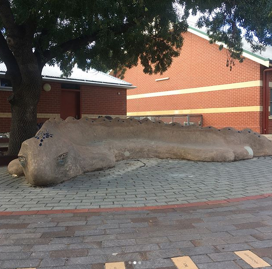 Trinity Gardens Primary School Lizard